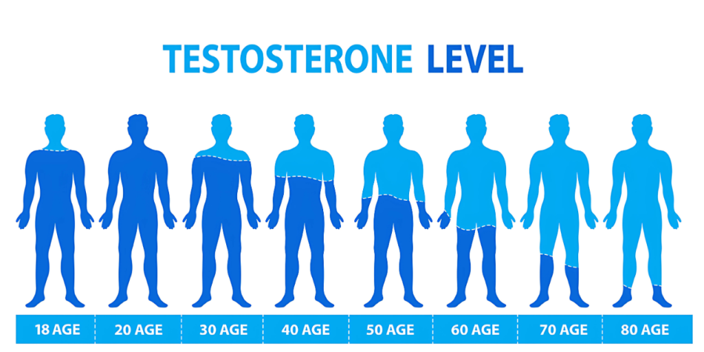 Testosterone Level 