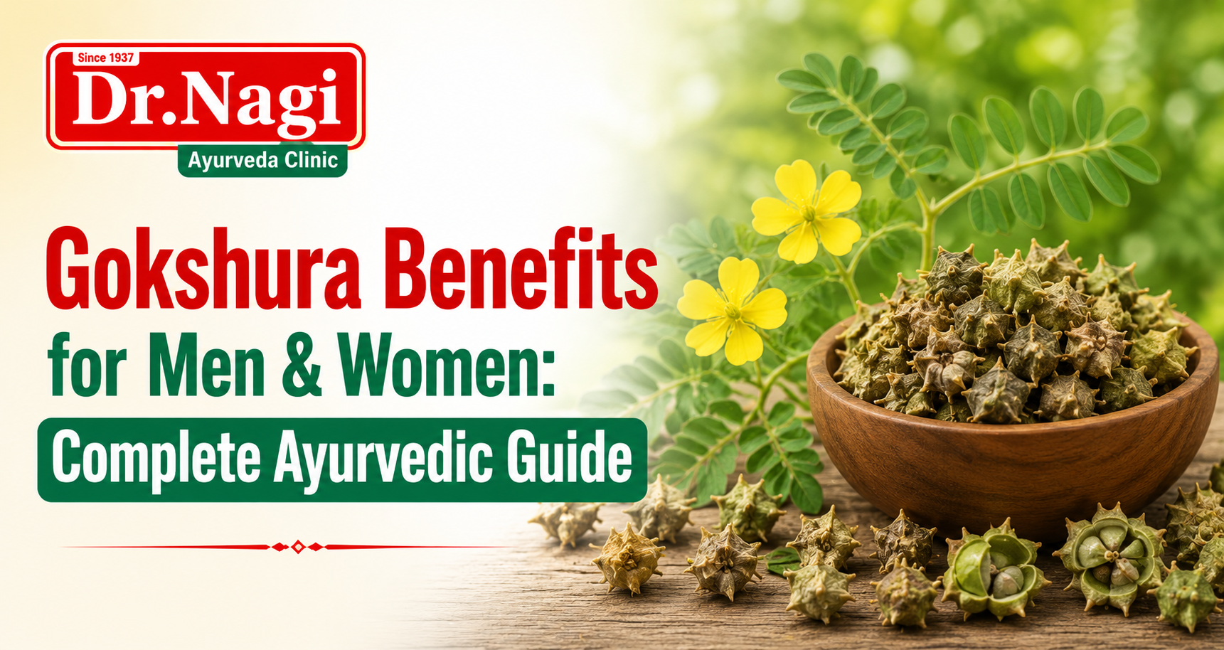 Gokshura Benefits for Men & Women: Complete Ayurvedic Guide